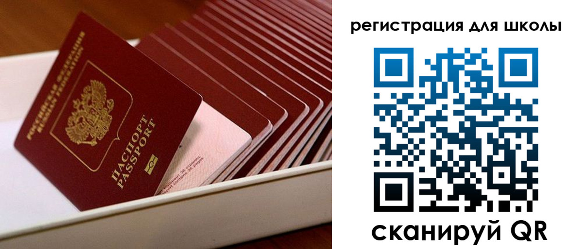 прописка гарантия в Кораблино